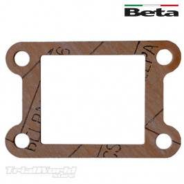 Beta Techno REV EVO gasket...