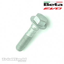 Head screw 7x31 Beta EVO