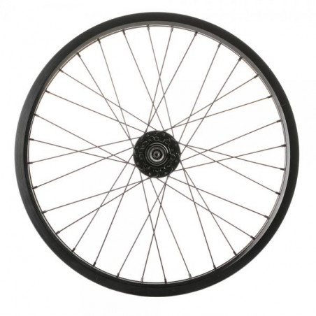 Complete rear Wheel 19" 116MM disc