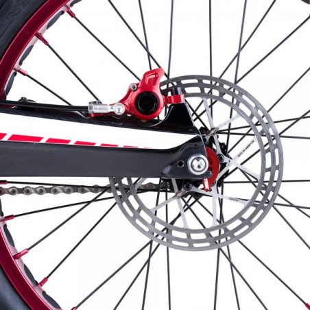 Jitsie RACE trial bike rear disc