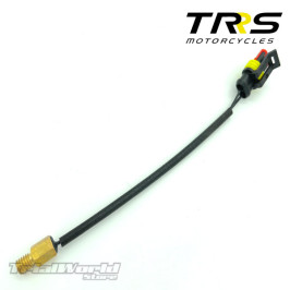 Sensor temperatura culata TRRS ONE & XTrack