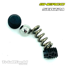 Repair kit starter lever Sherco ST Trial and Scorpa