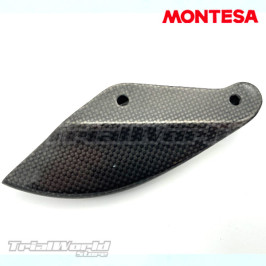 Protector disco trasero carbono Montesa Cota 4RT - Cota 301RR - Cota 315R