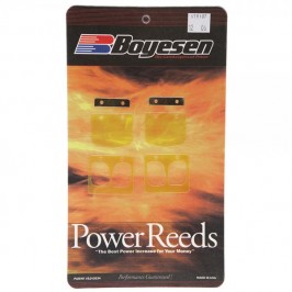 Power Series Reeds Beta EVO