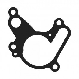 Water pump gasket Montesa Cota 315R