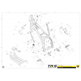 Swingarm axle nut for TRS all models