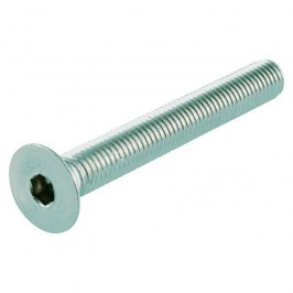 Screw DIN 7991 countersunk M6x30