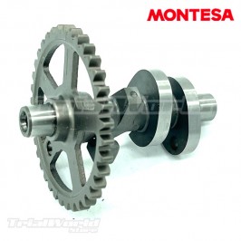 Conjunto arbol de levas Montesa Cota 4RT