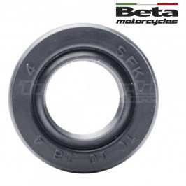 Water pump seal Beta Techno...