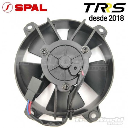 SPAL TRRS One & Raga Racing Fan