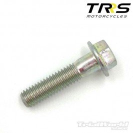 Screw DIN 6921 M6x25 head TRRS