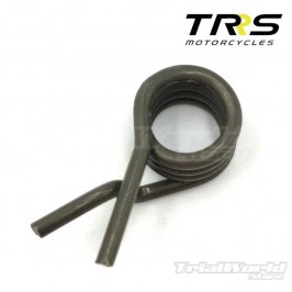 Shift selector shaft spring TRRS