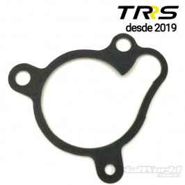 Water pump seal TRRS 2019...