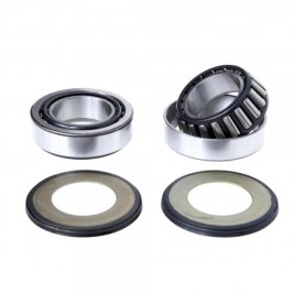 Montesa 4RT Steering Bearing Kit