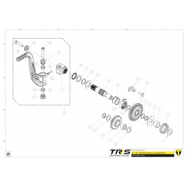 Intermediate starter pinion TRRS