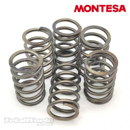 Kit completo muelles embrague Montesa Cota 4RT