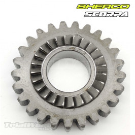 Ratchet sprocket Sherco...