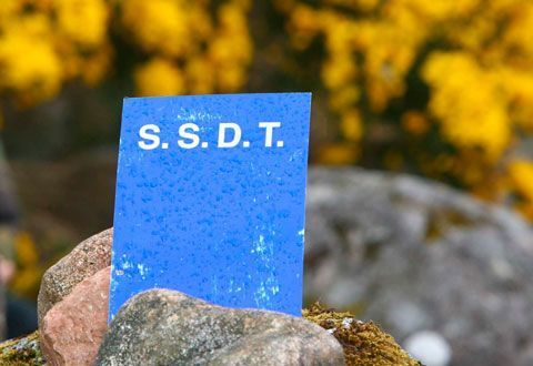 Disque SSDT12