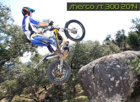 sherco14 6