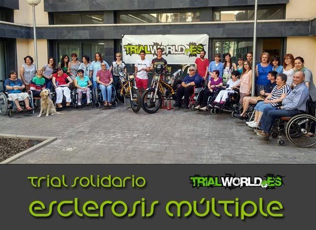 trialsolidaritymultiple sclerosis