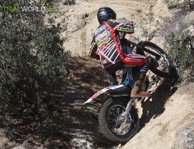 Montesa Dunlop D803GP Trial