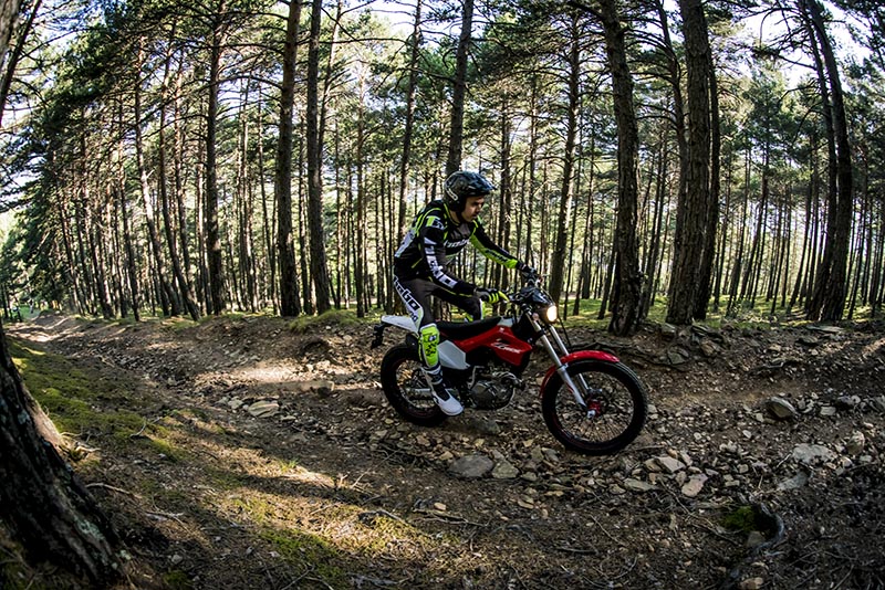 Escursione Montesa 4Ride Trial