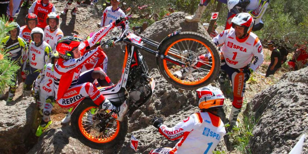 toni bou 2017 cet mallorca