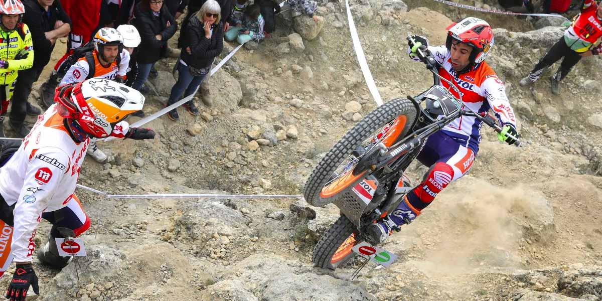 toni bou cet 2019