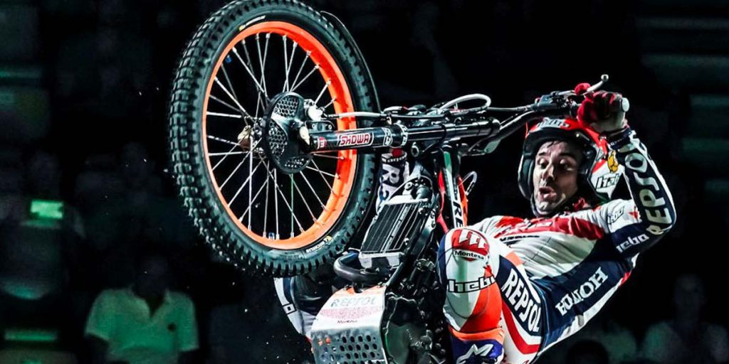 toni bou